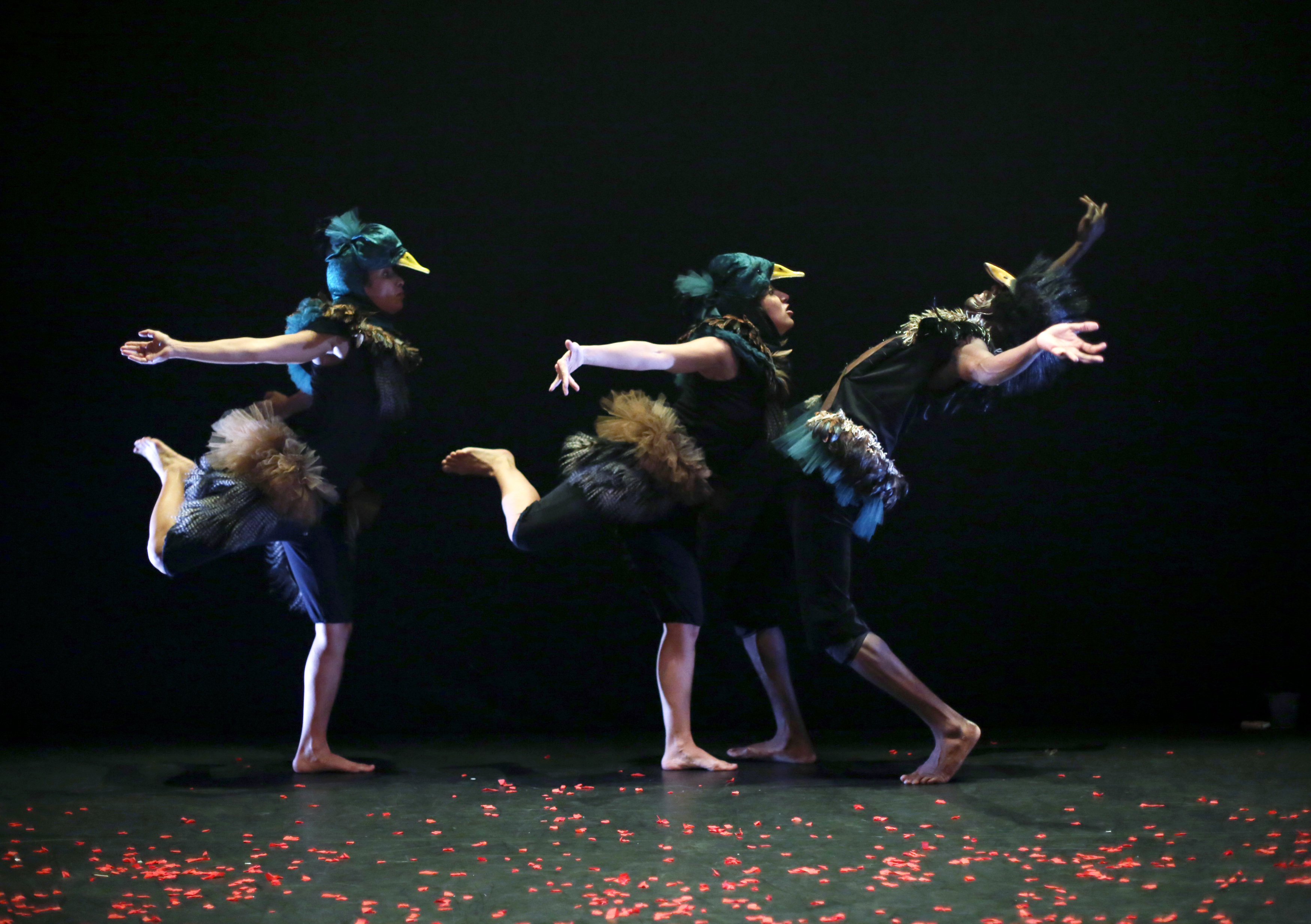 "Dis, à quoi tu danses ?" à Saint-Romain-de-Colbosc (76) le 19 décembre 2019