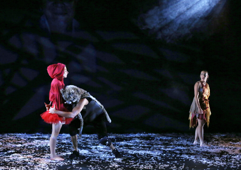 DIS, A QUOI TU DANSES? (Création 2015 - nouvelle version 2017)