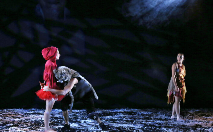 DIS, A QUOI TU DANSES? (Création 2015 - nouvelle version 2017)